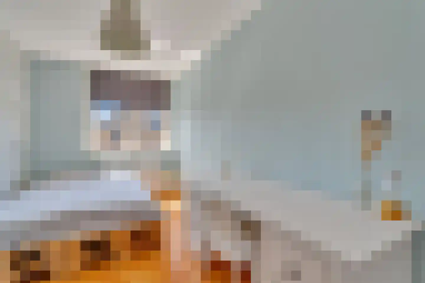 Koningsvaren 12 Nijverdal thumbnail 22