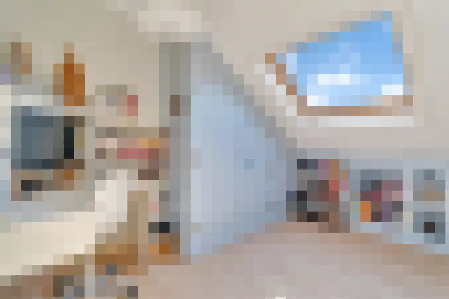 Koningsvaren 12 Nijverdal thumbnail 26