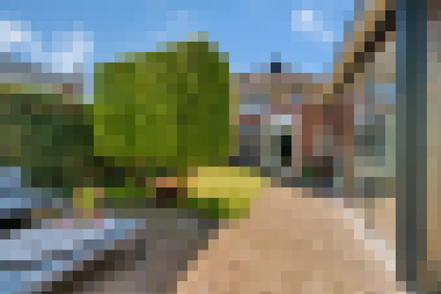 Koningsvaren 12 Nijverdal thumbnail 30