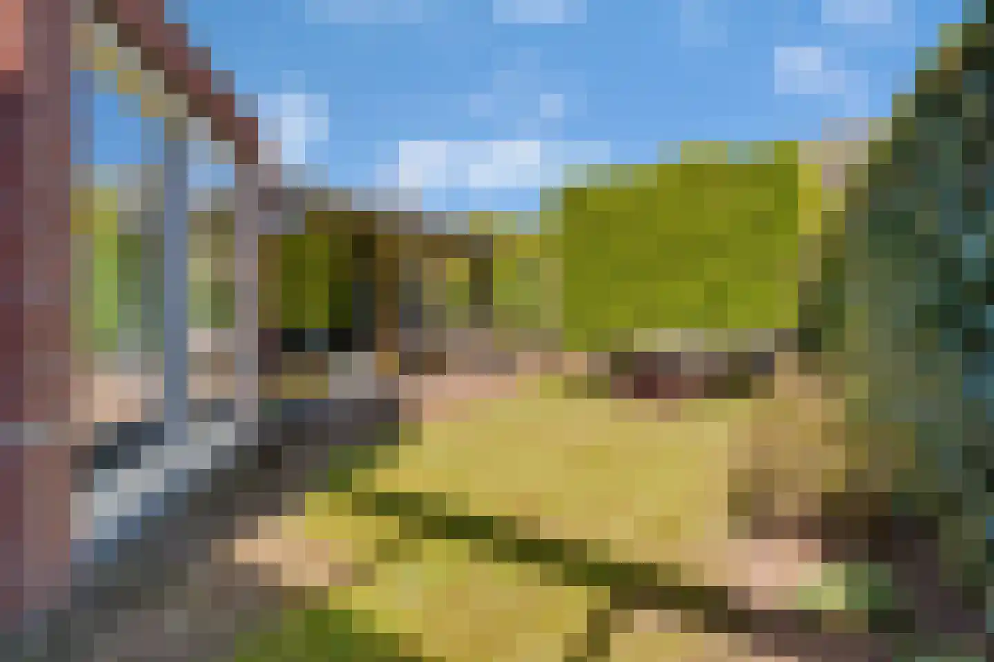 Koningsvaren 12 Nijverdal thumbnail 31