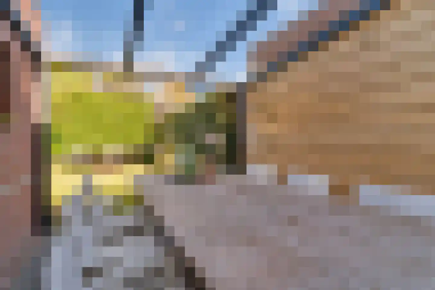 Koningsvaren 12 Nijverdal thumbnail 33