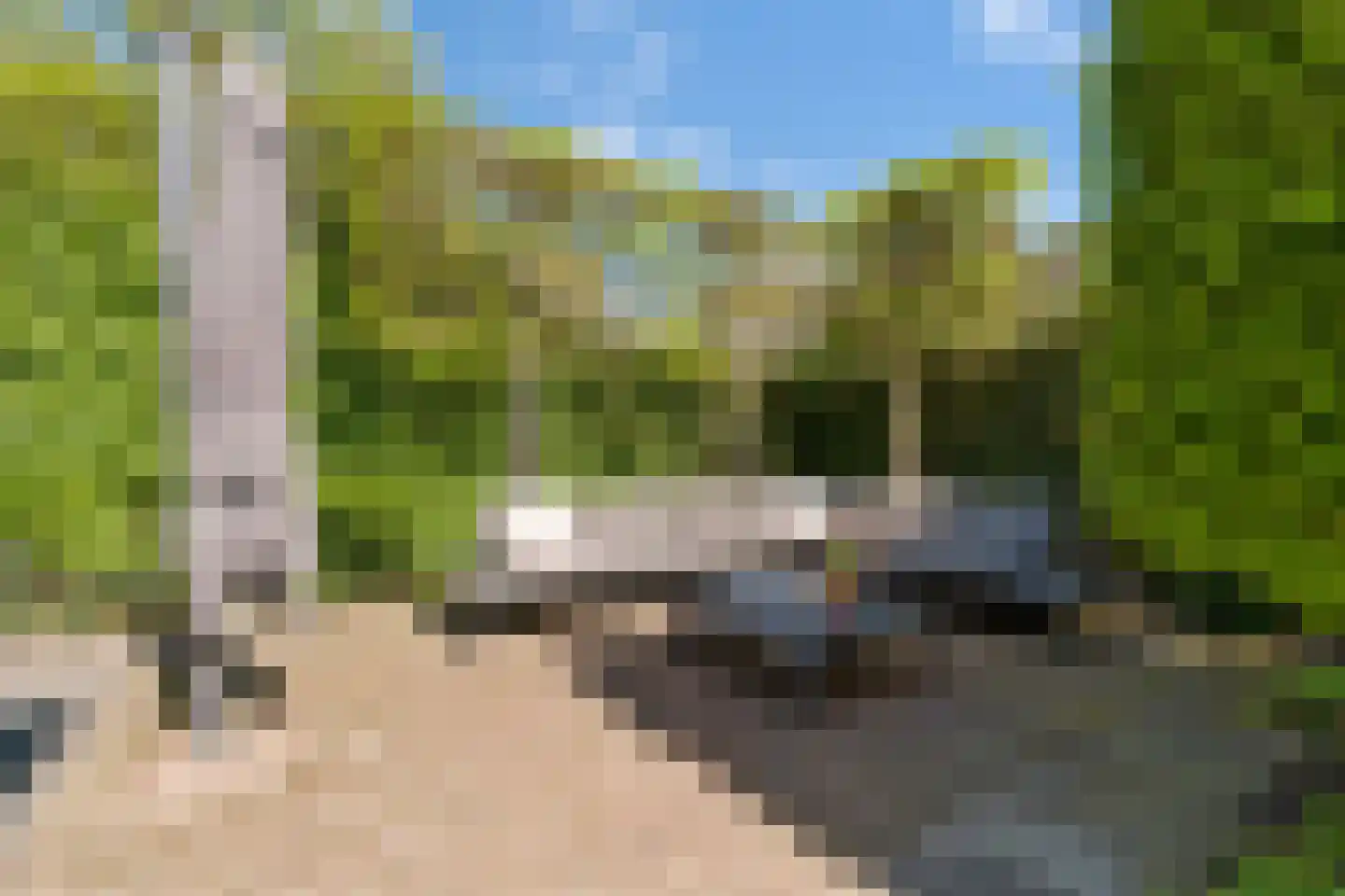 Koningsvaren 12 Nijverdal thumbnail 35