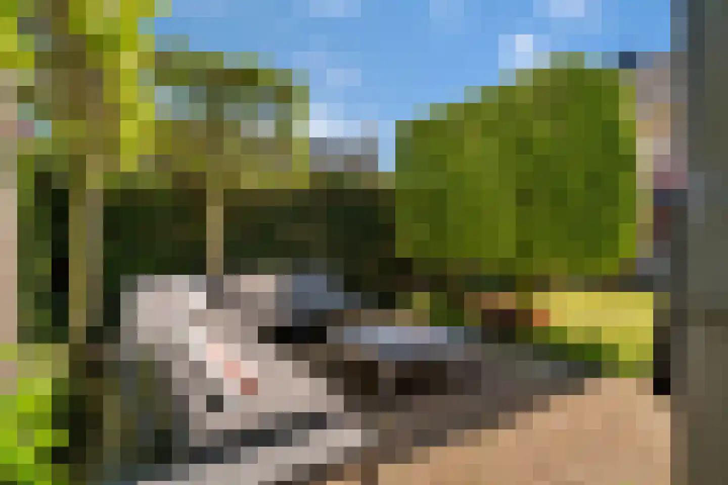 Koningsvaren 12 Nijverdal thumbnail 36