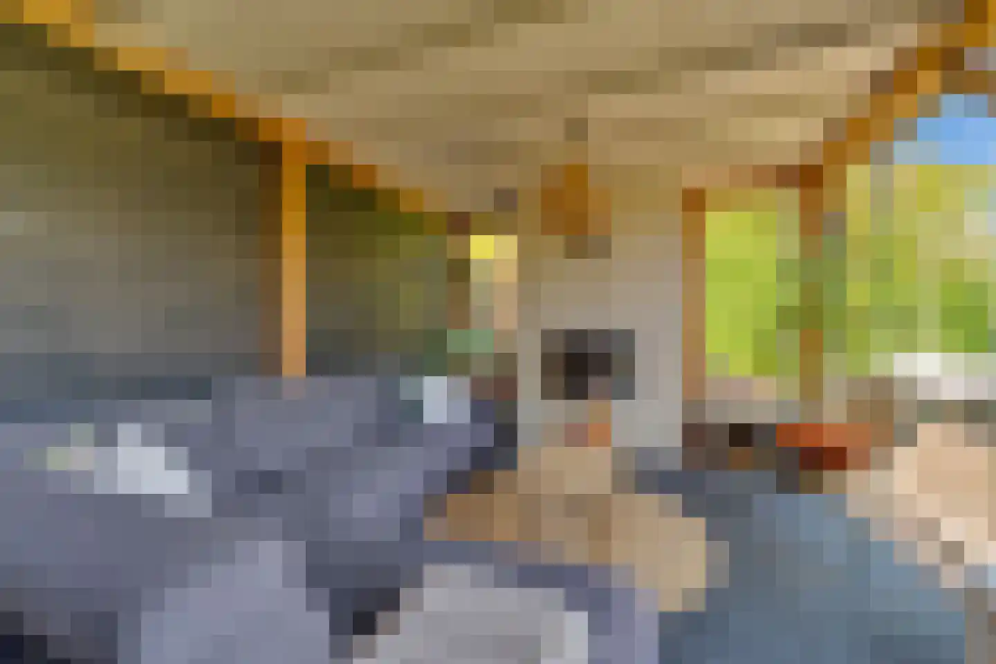 Koningsvaren 12 Nijverdal thumbnail 37