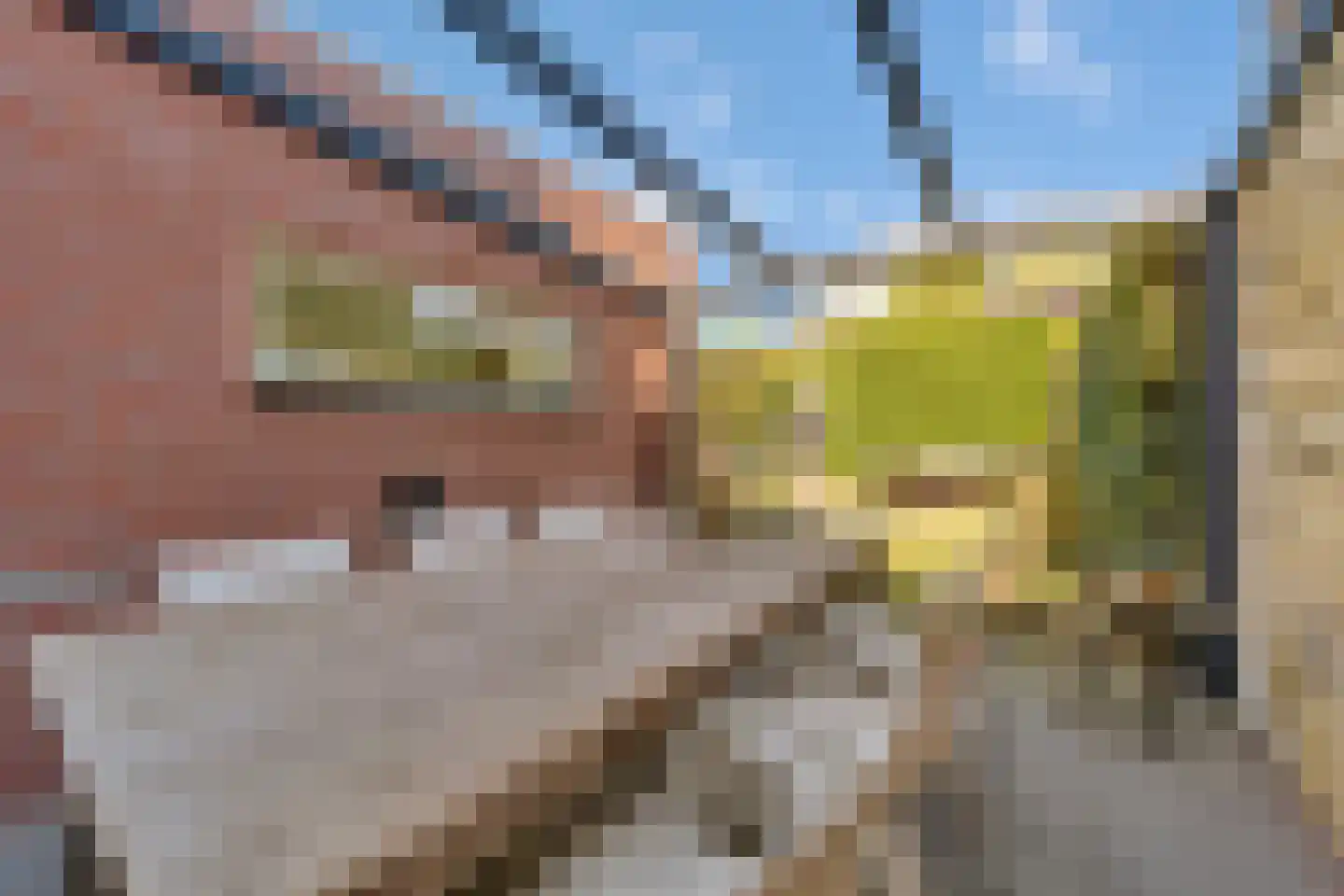 Koningsvaren 12 Nijverdal thumbnail 38