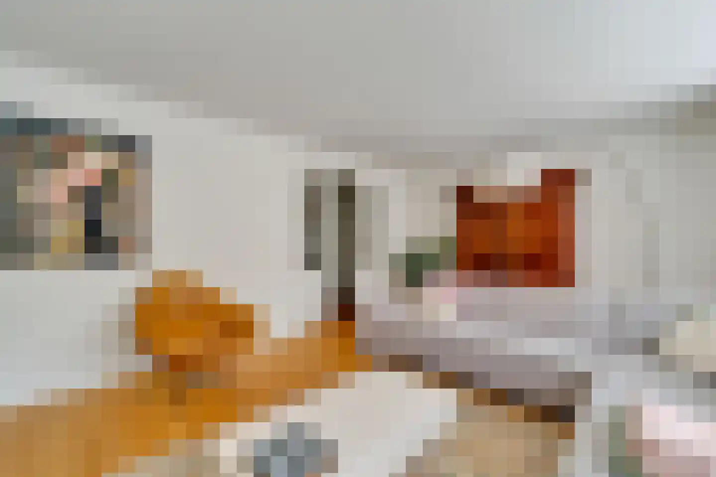 Koningsvaren 12 Nijverdal thumbnail 8