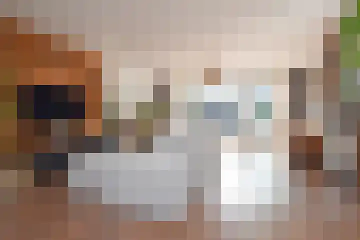 Koningsvaren 12 Nootdorp thumbnail 15