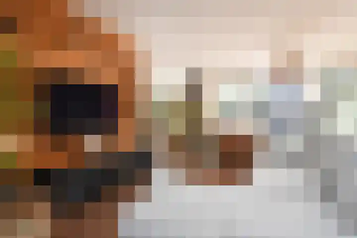 Koningsvaren 12 Nootdorp thumbnail 16