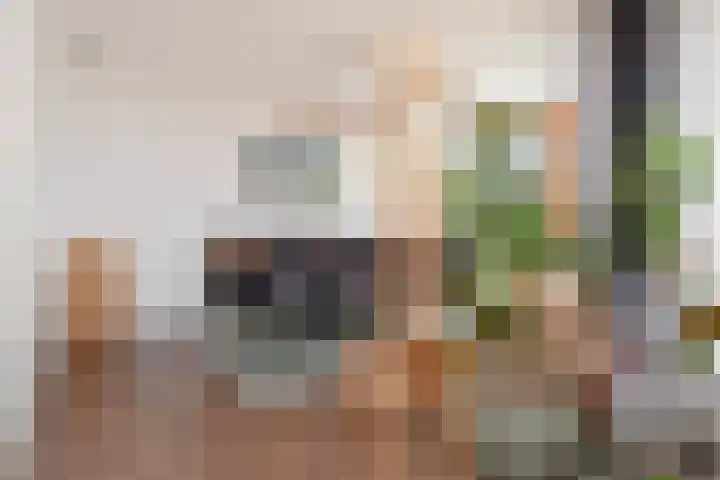 Koningsvaren 12 Nootdorp thumbnail 18