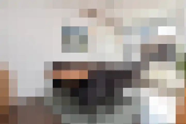 Koningsvaren 12 Nootdorp thumbnail 19