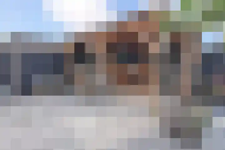Koningsvaren 12 Nootdorp thumbnail 22