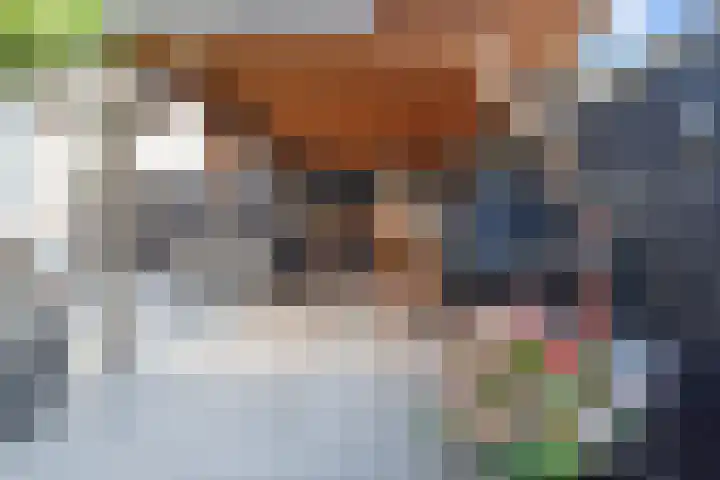 Koningsvaren 12 Nootdorp thumbnail 23