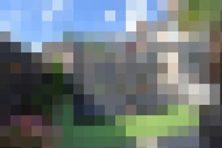 Koningsvaren 12 Nootdorp thumbnail 26