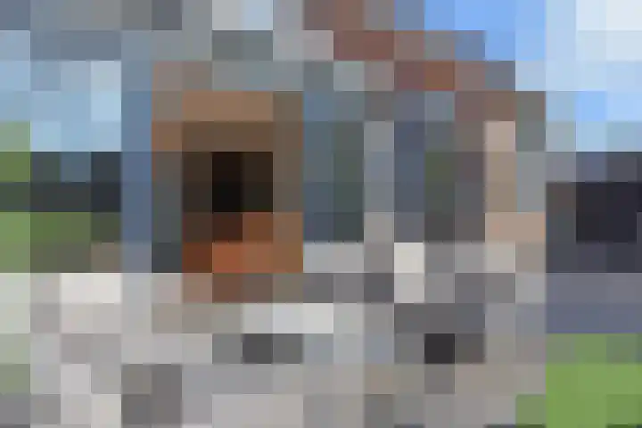 Koningsvaren 12 Nootdorp thumbnail 29