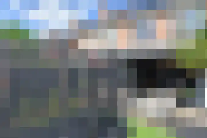 Koningsvaren 12 Nootdorp thumbnail 31