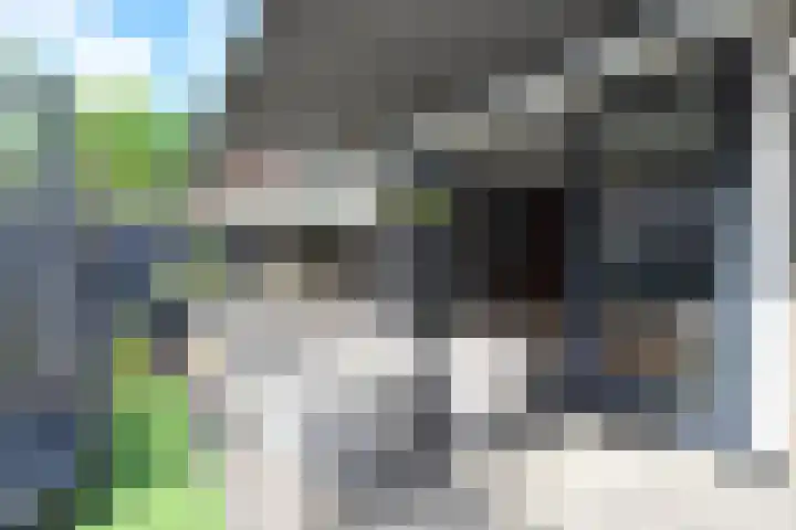Koningsvaren 12 Nootdorp thumbnail 32