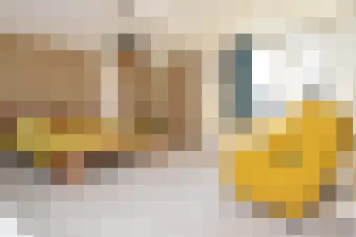 Koningsvaren 12 Nootdorp thumbnail 37