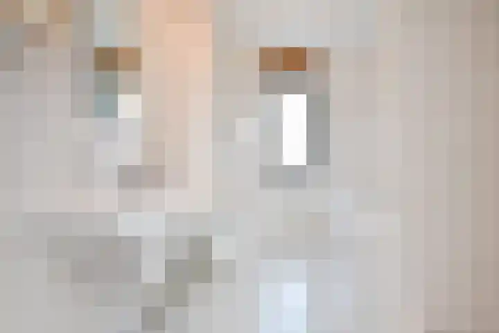 Koningsvaren 12 Nootdorp thumbnail 40