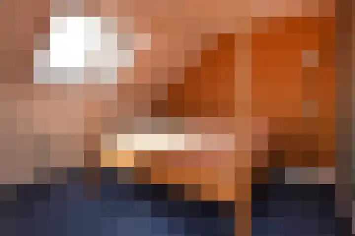 Koningsvaren 12 Nootdorp thumbnail 52