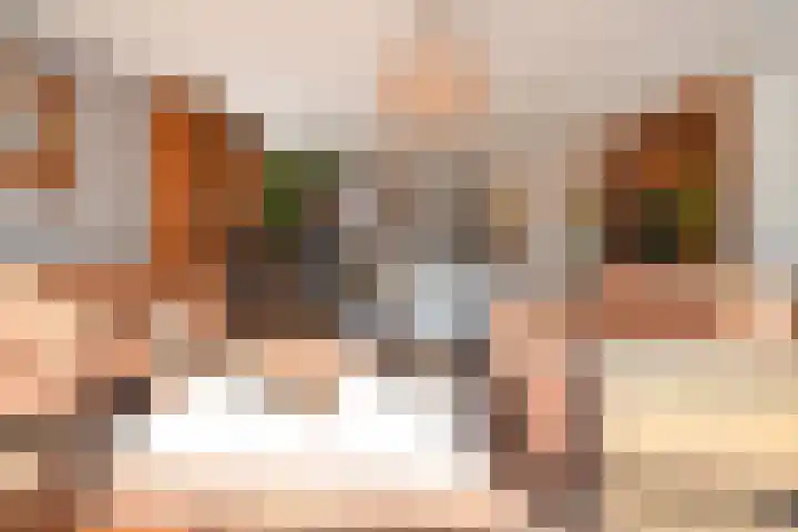 Koningsvaren 12 Nootdorp thumbnail 7