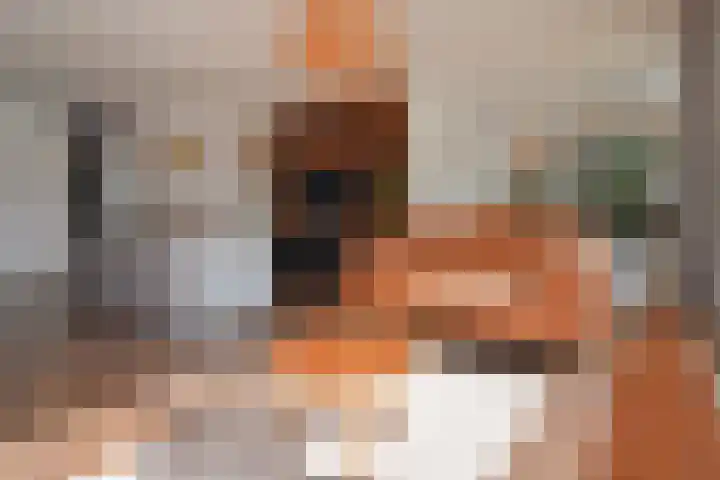 Koningsvaren 12 Nootdorp thumbnail 8