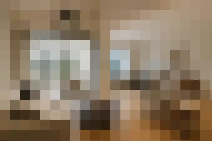 Koningsvaren 12 Purmerend thumbnail 12