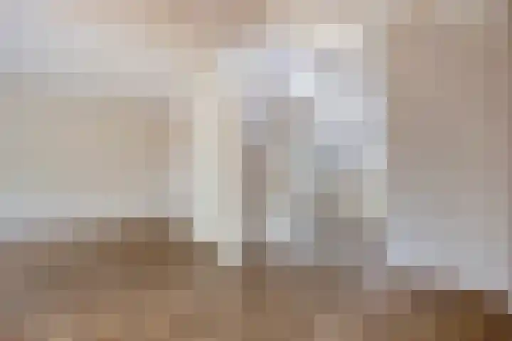 Koningsvaren 12 Purmerend thumbnail 13