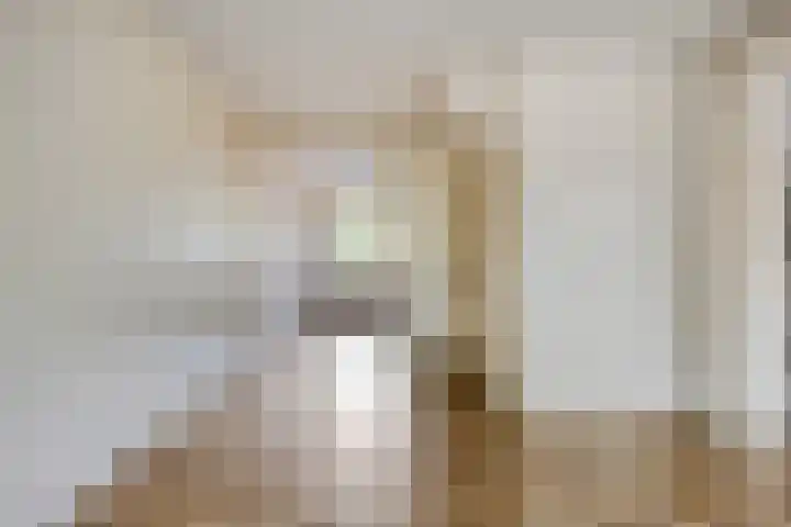 Koningsvaren 12 Purmerend thumbnail 15