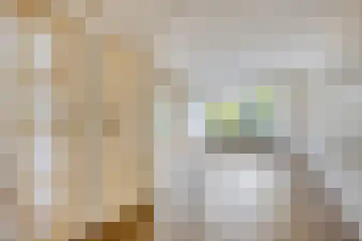 Koningsvaren 12 Purmerend thumbnail 16