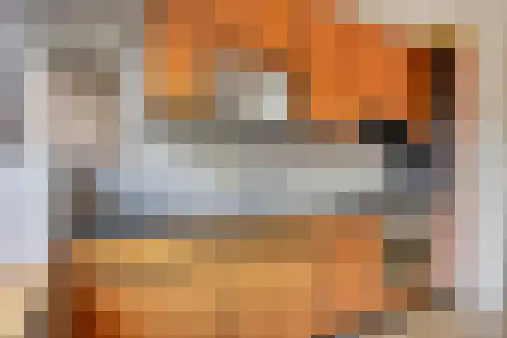 Koningsvaren 12 Purmerend thumbnail 19