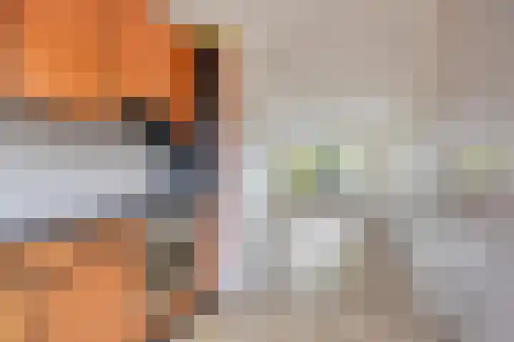 Koningsvaren 12 Purmerend thumbnail 20