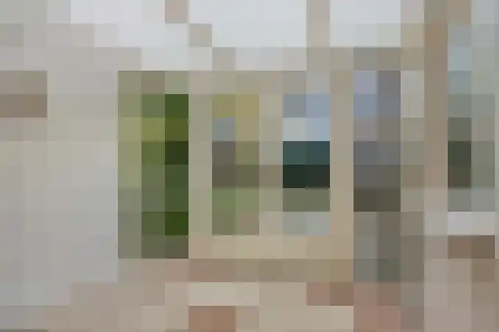 Koningsvaren 12 Purmerend thumbnail 21