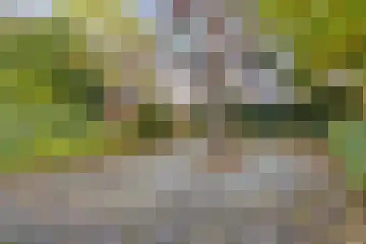 Koningsvaren 12 Purmerend thumbnail 24