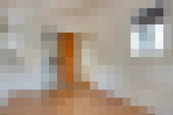Koningsvaren 12 Purmerend thumbnail 27