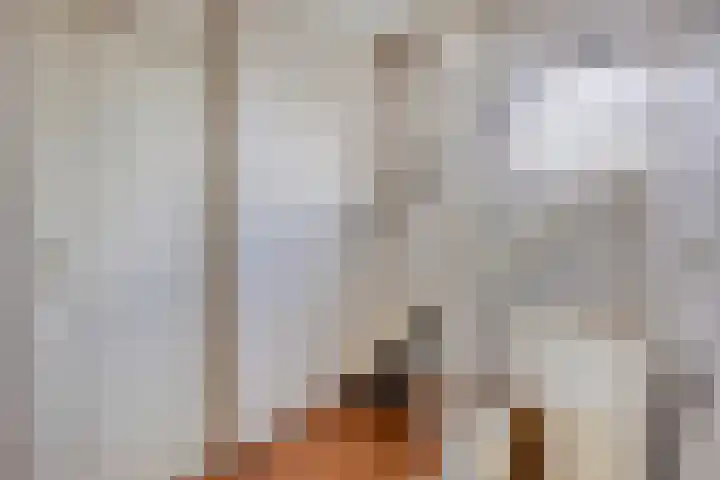 Koningsvaren 12 Purmerend thumbnail 29