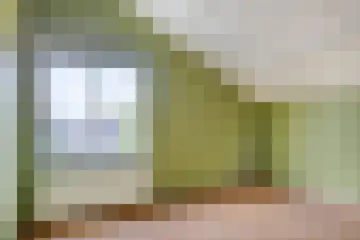 Koningsvaren 12 Purmerend thumbnail 40