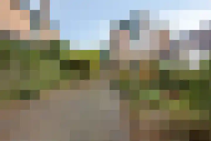 Koningsvaren 12 Purmerend thumbnail 44