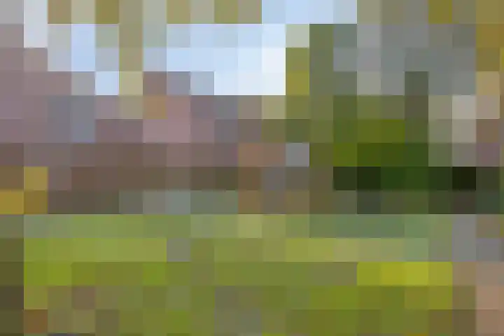 Koningsvaren 12 Purmerend thumbnail 45