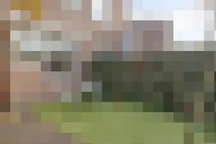 Koningsvaren 12 Purmerend thumbnail 5
