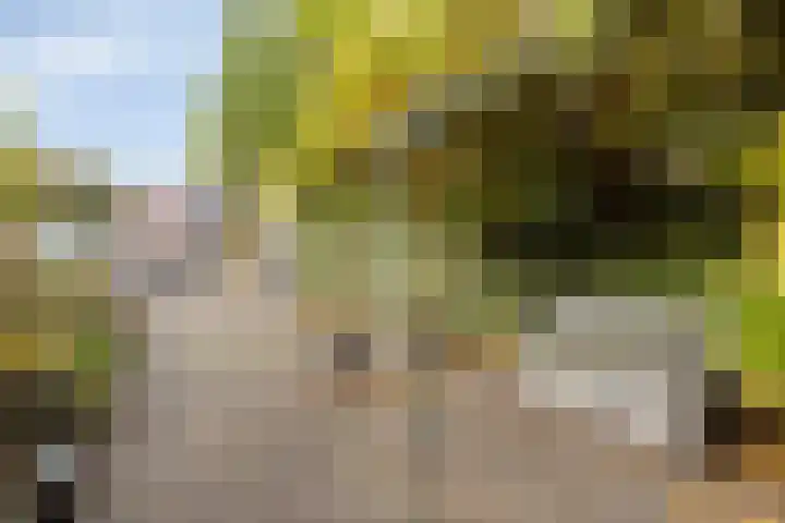 Koningsvaren 12 Purmerend thumbnail 6