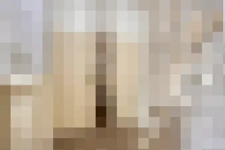 Koningsvaren 12 Purmerend thumbnail 7