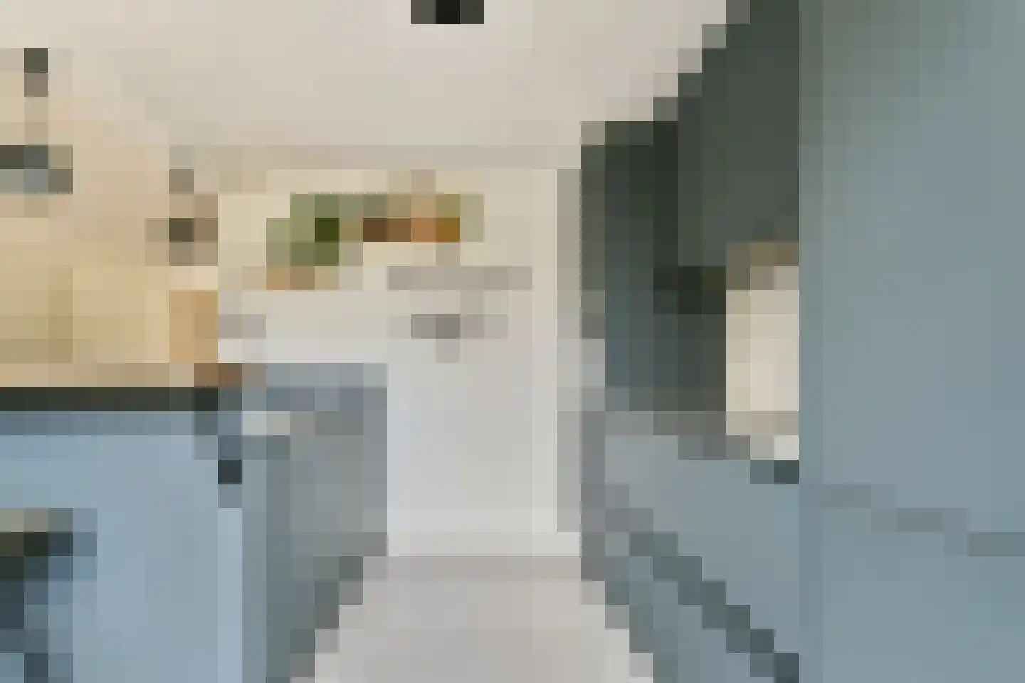 Koningsvaren 123 Abcoude thumbnail 13
