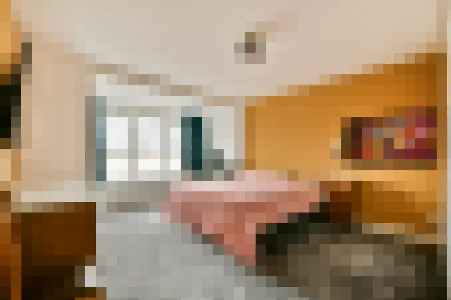 Koningsvaren 123 Abcoude thumbnail 20