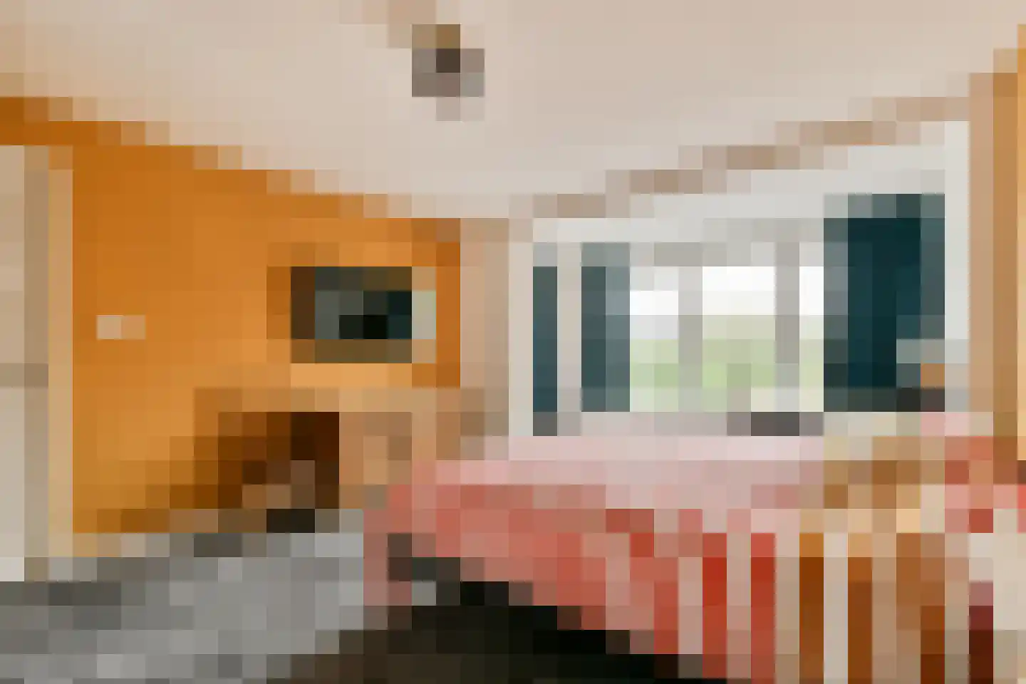 Koningsvaren 123 Abcoude thumbnail 21