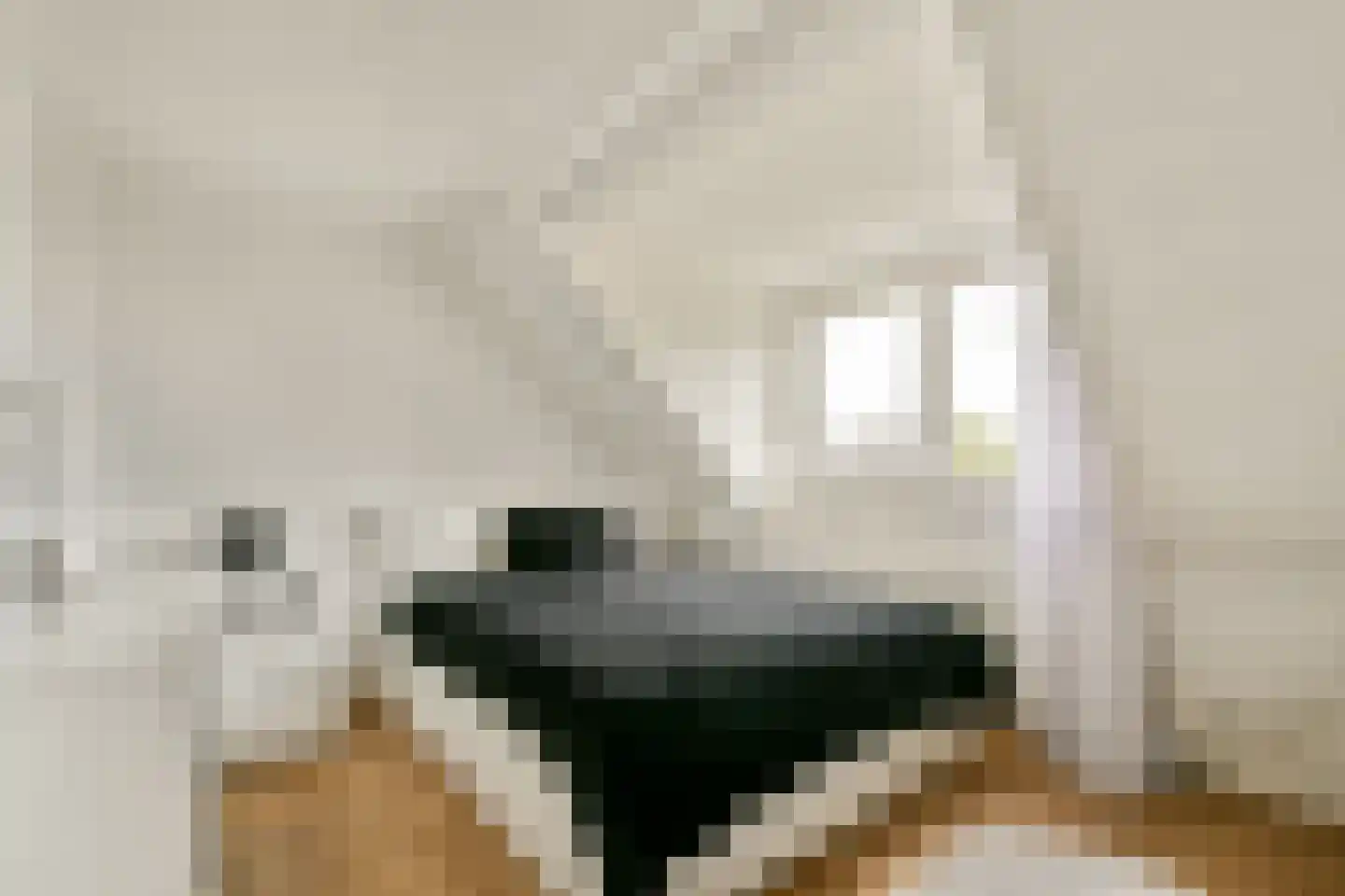 Koningsvaren 123 Abcoude thumbnail 27