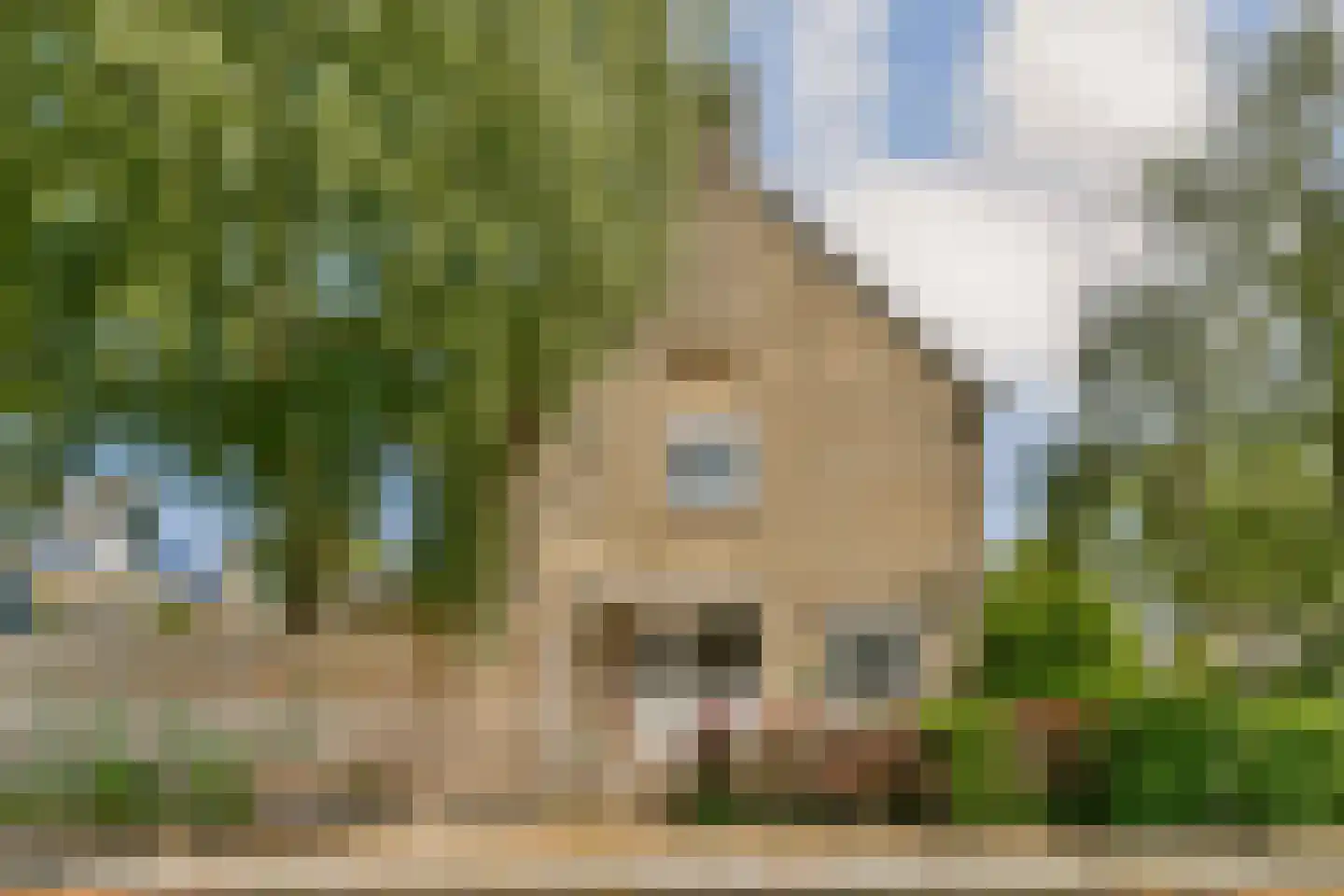 Koningsvaren 123 Abcoude thumbnail 30