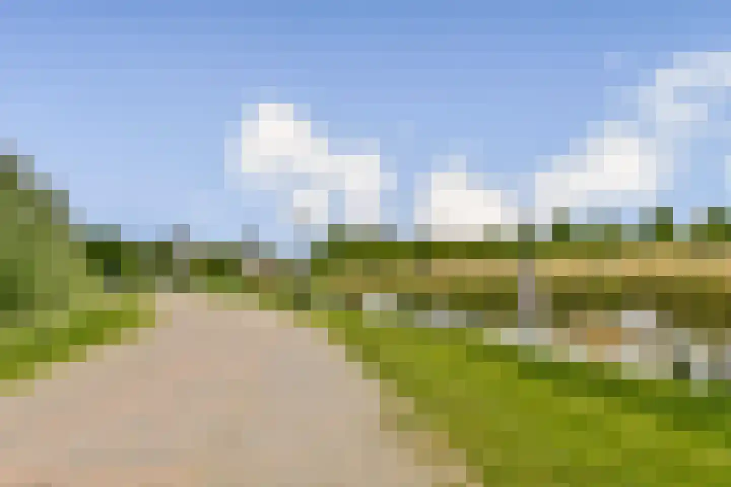 Koningsvaren 123 Abcoude thumbnail 31