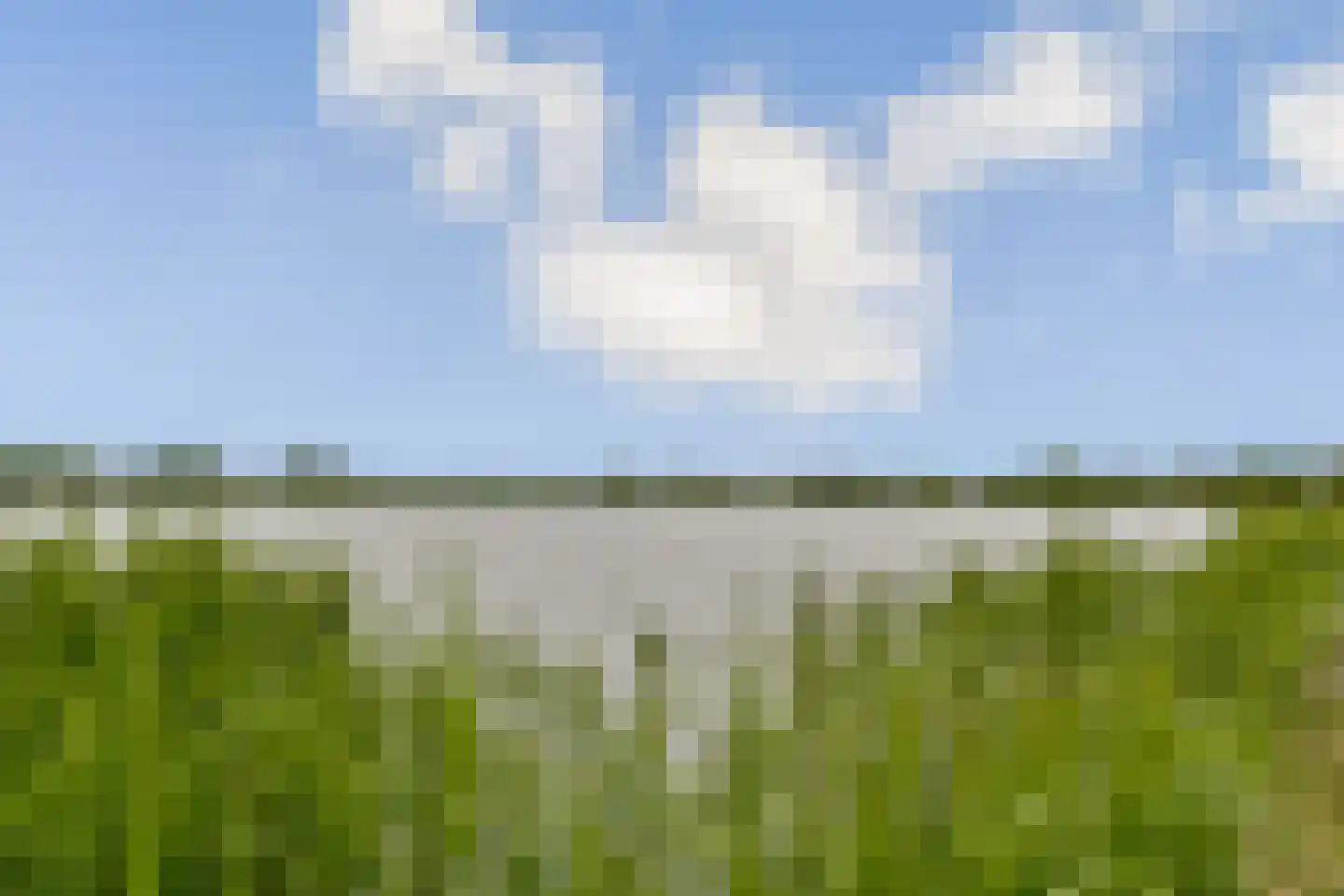 Koningsvaren 123 Abcoude thumbnail 32