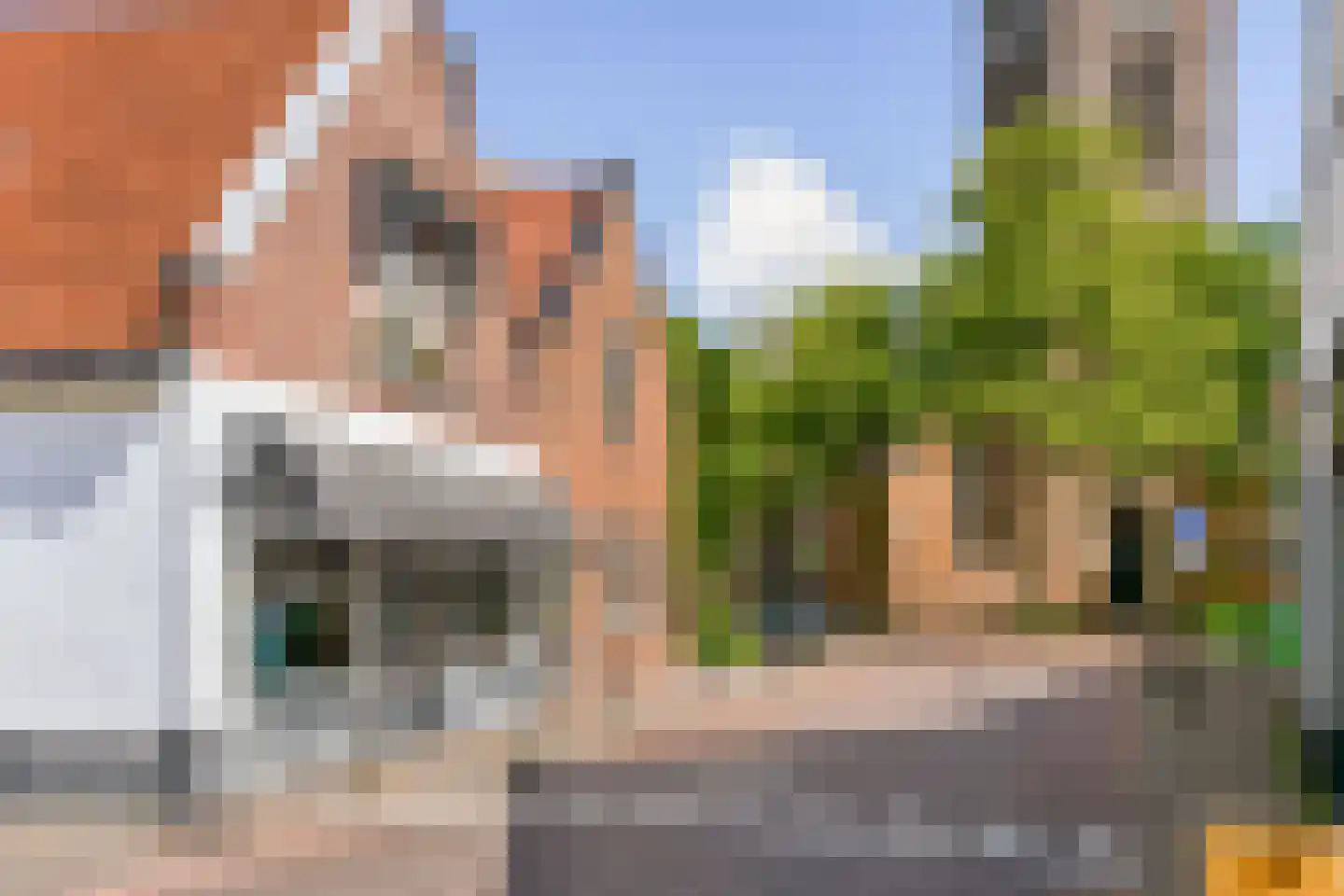 Koningsvaren 123 Abcoude thumbnail 33