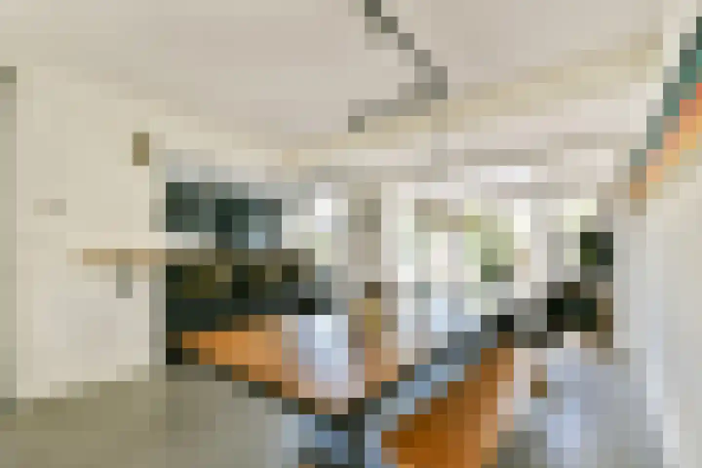 Koningsvaren 123 Abcoude thumbnail 4